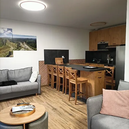 Duplex T4 Les Etoiles Du Sud Le Lioran